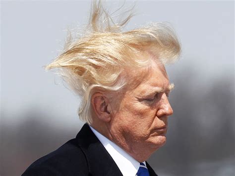 His bravado, his also his hair. Donald Trump Hair Piece - Does Trump's Hair Real Or Fake?