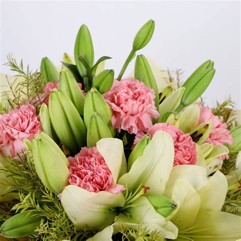 Buy Send Asiatic Lilies Carnations Mixed Bouquet Online Ferns N Petals