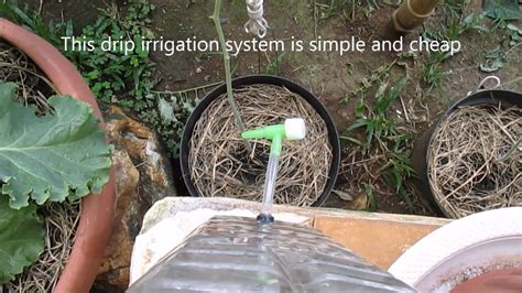 Creating A Simple Drip Irrigation System From Plastic Bottle Youtube