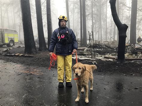 More Bodies Found As Camp Fire Crews Close In On Full Containment