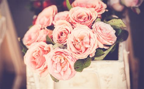 Wallpaper Pink Roses Flower Bokeh 3840x2160 Uhd 4k Picture Image