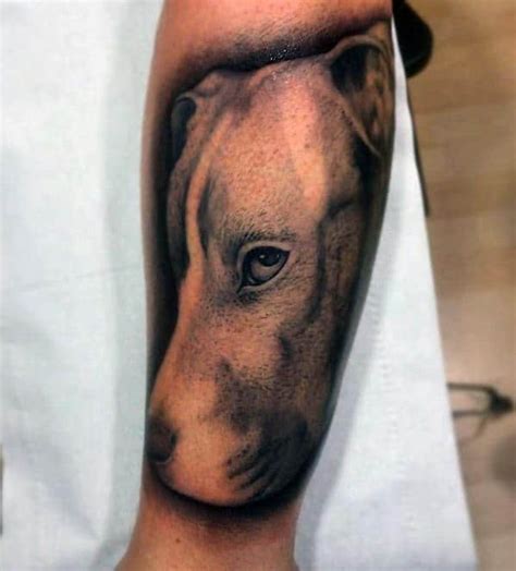 50 Pitbull Tattoo Designs For Men Dog Ink Ideas