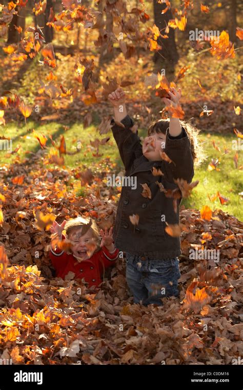 Kids Playing In The Fall Leaves Stock Photo Alamy