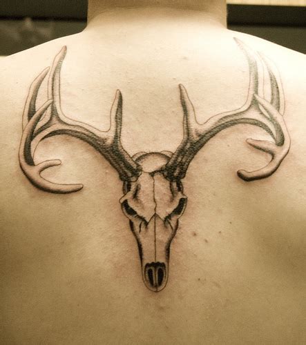 Collection 100 Wallpaper Whitetail Deer Skull Tattoo Completed