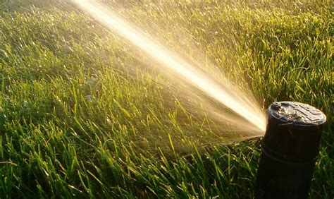 Jun 12, 2021 · southlake carroll product hailey hernandez, 18, earned a spot on the u.s. Twice-A-Week Landscape Watering is Now Permanent in ...