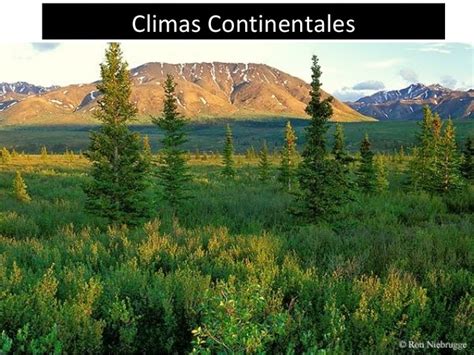 Clima Continentalclima Templado Aprendien2 Geografia