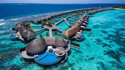w maldives offer a paradise getaway with its extreme island takeover package luxurylaunches