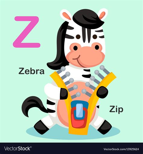 Isolated Animal Alphabet Letter Z Zip Zebra Vector Image