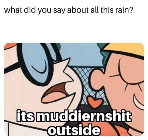 Pin By Amy Caulk On Weather Memes Tumblr Funny Memes Humor