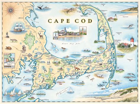 Buy Cape Cod Hand Drawn Of Cape Cod Xplorer S Online At