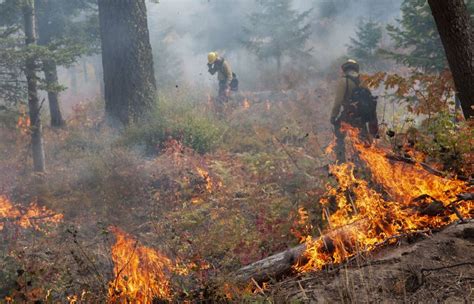 Setting Fires To Control Wildfires A Profound Change Takes Hold In