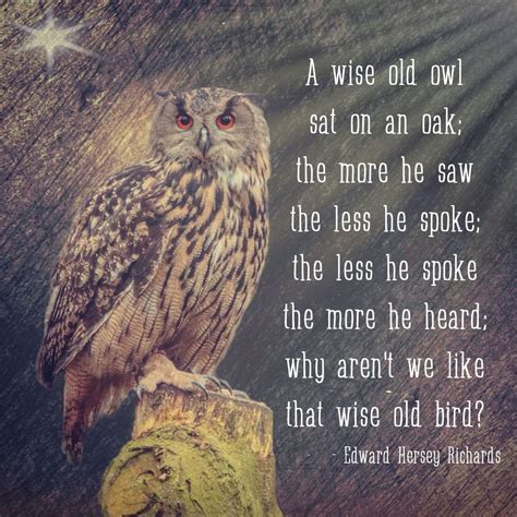 A Wise Old Owl Poem Leafonsand