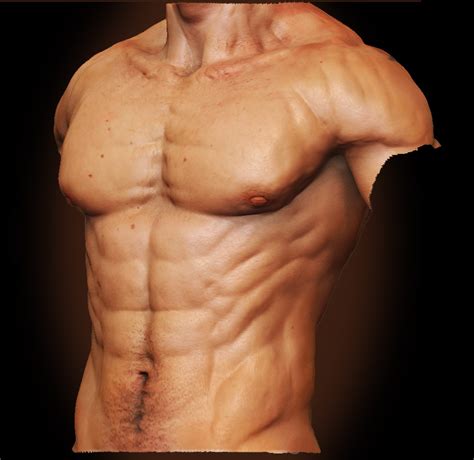 Deviantart is the world's largest online social community for artists and art enthusiasts, allowing people to connect through the creation and sharing of art. Male Anatomy - Front 02 by shoaibMalik on DeviantArt