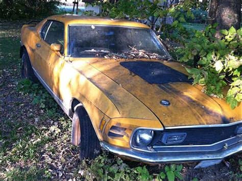 Regular gameplay progress will trigger a barn find rumor (mentioned by a radio dj and alerted on screen) which will place a purple circle around an area on the map. Barn Find: Complete Mustang Mach 1 Left Underneath a Tree ...
