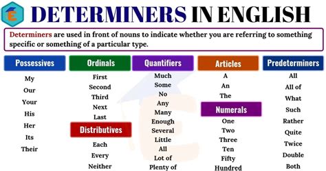 Determiners And Quantifiers English Grammar Grade Grammar Lesson Determiners Then Put