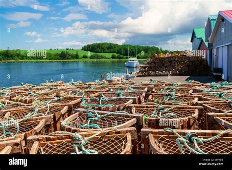 Lobster Traps On A Wharf In Rural Prince Edward Island Canada Stock
