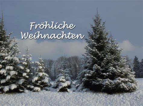 Fröhliche weihnachten means the same as. fröhliche Weihnachten Foto & Bild | spezial, bäume, winter ...