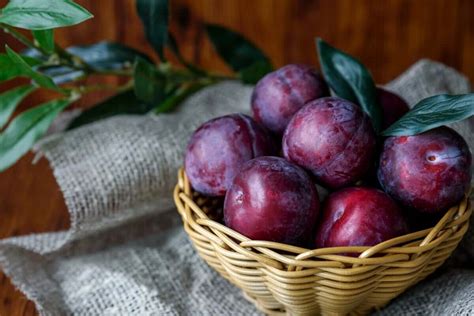 Discover The Different Types And Varieties Of Plums Step To Health