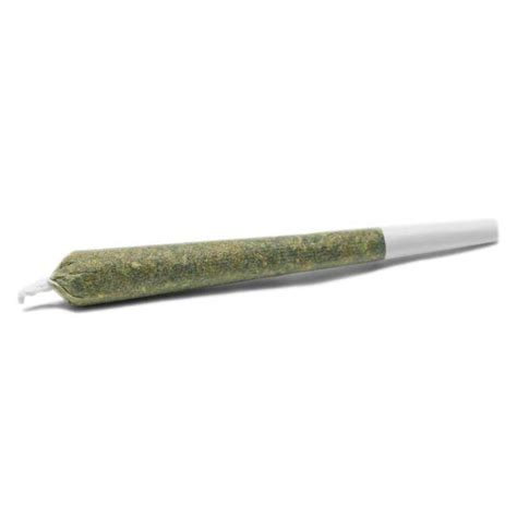 Dried Cannabis Sk Spinach Sensi Star Pre Roll Format
