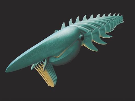 Rare Fossils Of 400 Million Year Old Sea Creatures Uncovered Live Science