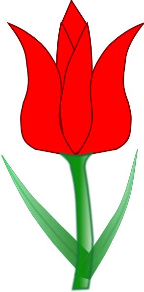 Baru 30 Gambar Bunga Tulip Kartun Galeri Bunga Hd