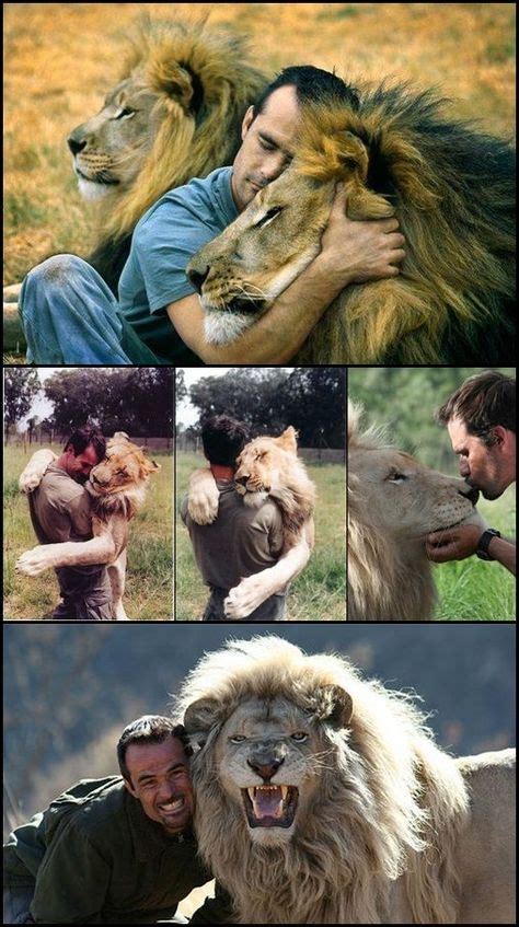 Meet Kevin Richardson Lion Whisperer Animals Beautiful Animals