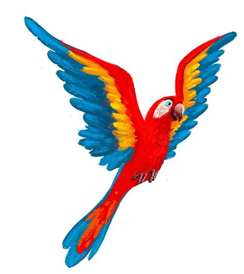 Macaw Drawing White Background Desenhos De Aves Desenho De Arara