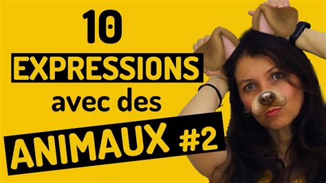 10 Expressions Avec Des Animaux En Français Youtube