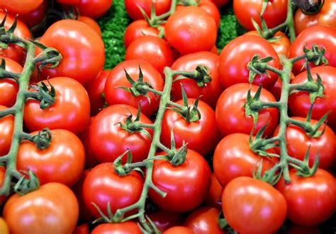 17 Facts About Tomatoes