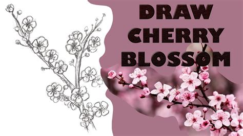 How To Draw Cherry Blossoms Step By Step Drawing Tutorial Guided