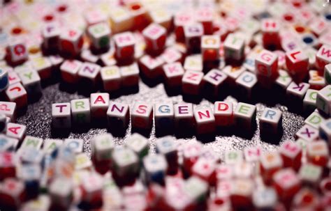 international transgender day of visibility and how you can support himmelfarb library news