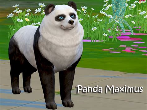 Panda Maximus Mod Sims 4 Mod Mod For Sims 4