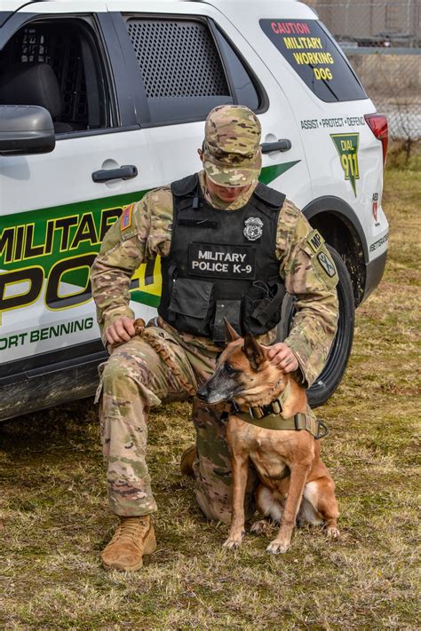 Dvids Images Us Army K9 And Military Police Image 42 Of 76