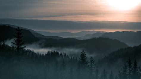 壁纸 挪威，山，雾，森林，日出，早晨 3840x2160 Uhd 4k 高清壁纸 图片 照片