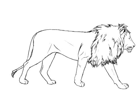 Draw two ears on top of your head. small drawing of lion - Clip Art Library