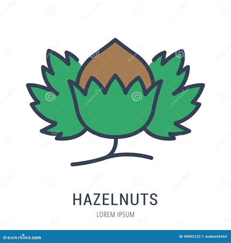 Vector Simple Logo Template Hazelnuts Stock Illustration Illustration