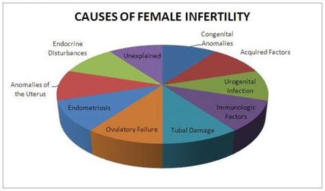 Top 9 Causes Of Infertility In Women Kjk Hospital And Fertility