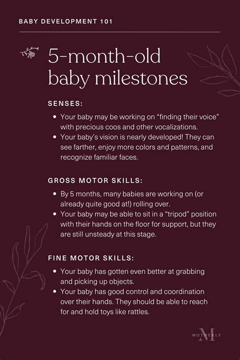 Guide To 5 Month Milestones For Baby Motherly