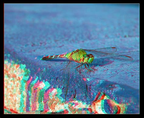 The Worlds Best Photos Of Anaglyph And Stereogram Flickr Hive Mind