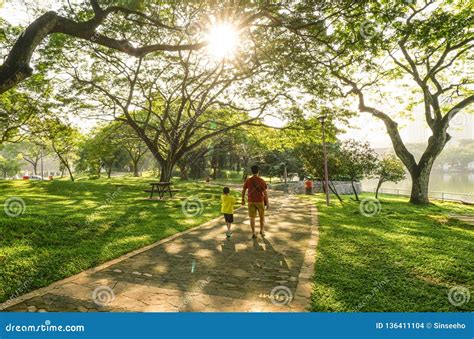 Beautiful Green City Park In The Morning Stock Photo Image Of Space