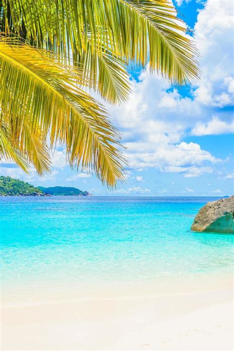 Beautiful Tropical Beach Background 2142935 Stock Photo At Vecteezy