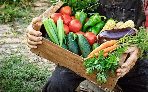 Let us show you how. Lifestyle tied to CSA membership - Vegetable Growers News