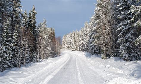 Winter Weekend In Kusfors › Way Up North