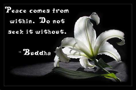 Peaceful Zen Quotes Quotesgram