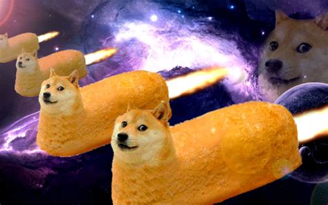 Dogecoin Wallpaper Doge Wallpapers Top Free Doge Backgrounds
