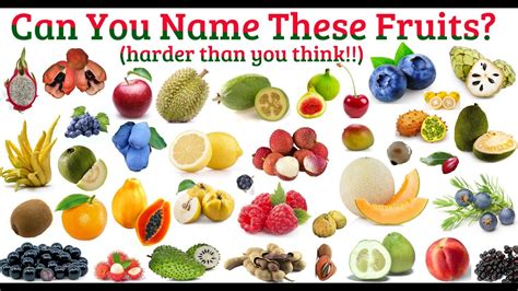 Can You Name These Fruits Hard Quiz What Is Your Favorite Fruit Let