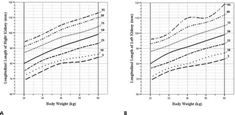 Sonographic Assessment Of The Normal Limits And Percentile Curves Of