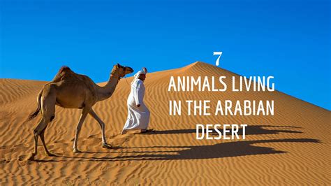 7 Animals Living In The Arabian Desert Proto Animal