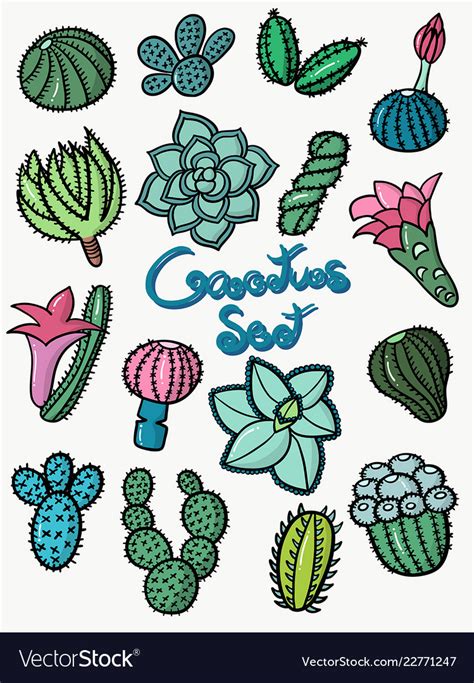 Colorful Set Cactus Design Royalty Free Vector Image