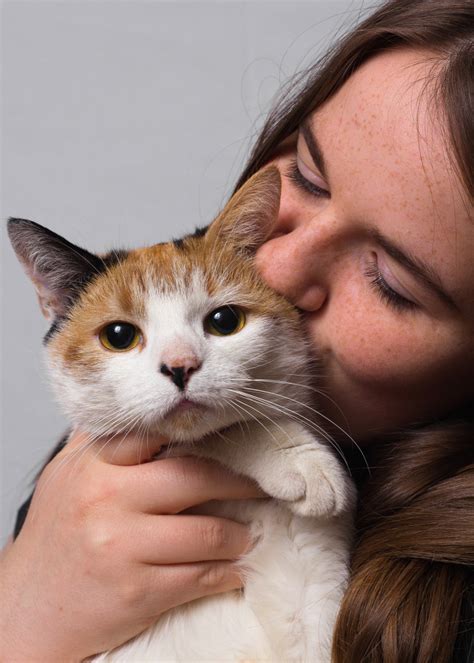 Having a cat would certainly give me someone to spend time with and care for while i am alone a lot. AHA Celebrates 100 Years Of Animal Rescue By Asking ...